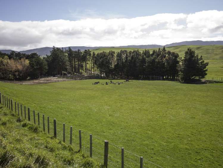 1530 Waihi Valley Road Pongaroa_16