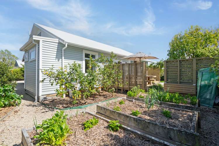 7a Dublin Street Martinborough_16