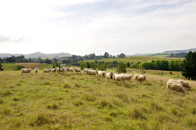 4 Railway Street Five Forks and Surrounds_3