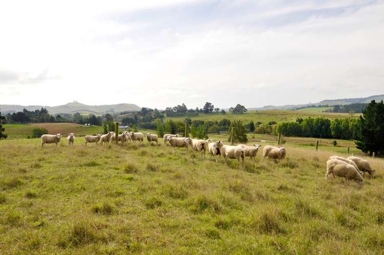 4 Railway Street Five Forks and Surrounds_3