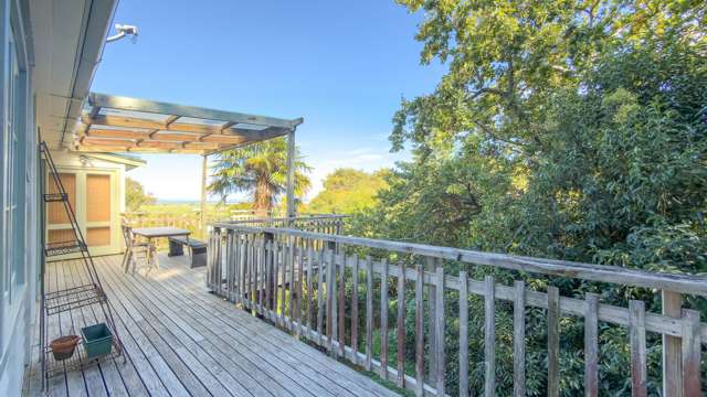 111B Grafton Road Thames_4