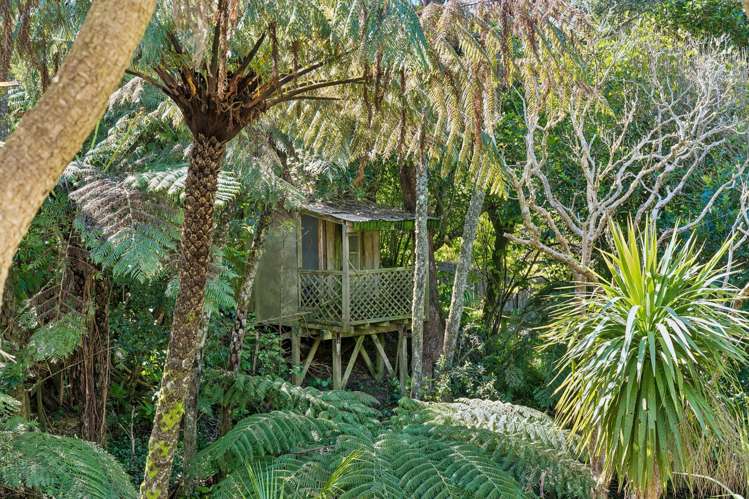 113 Messines Road Karori Central_29