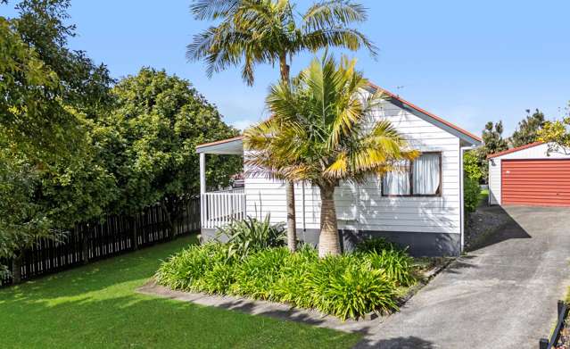 15 Hassan Drive Massey_2