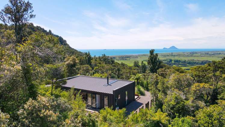 229 Kokako Heights_0