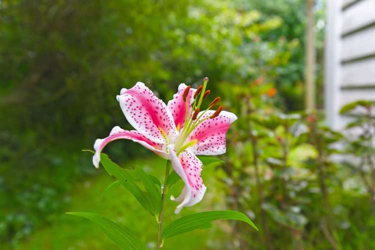 75 Liverpool Street Levin_28