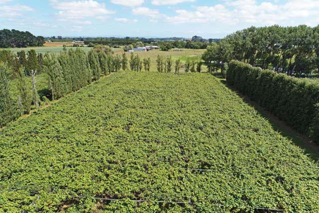 36 Eden Road Pukekohe_4