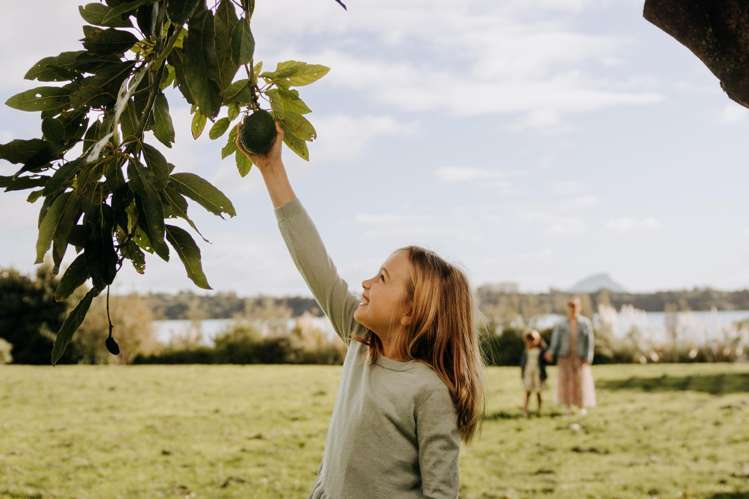206 Ranginui Road Welcome Bay_15