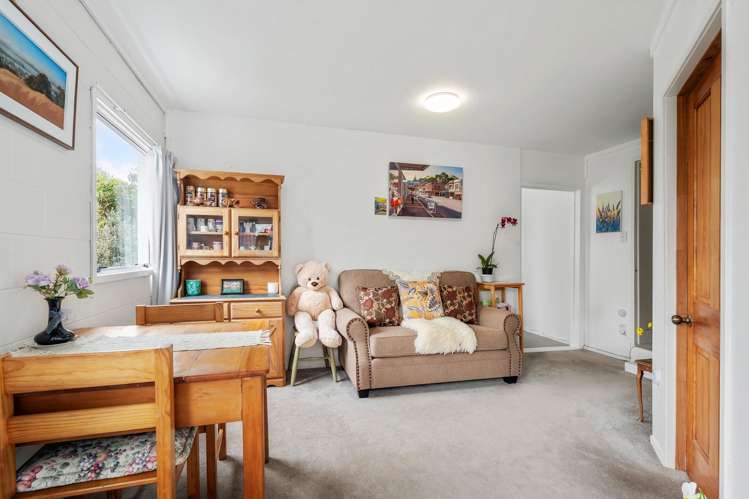 3 Dally Terrace Mount Roskill_19