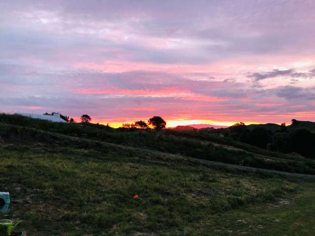 4/448 Aspin Road Te Miro_4