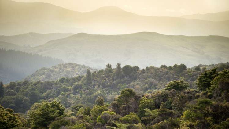 460 Tora Road Tora_11