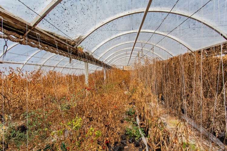 93 Boys Road Rangiora_8