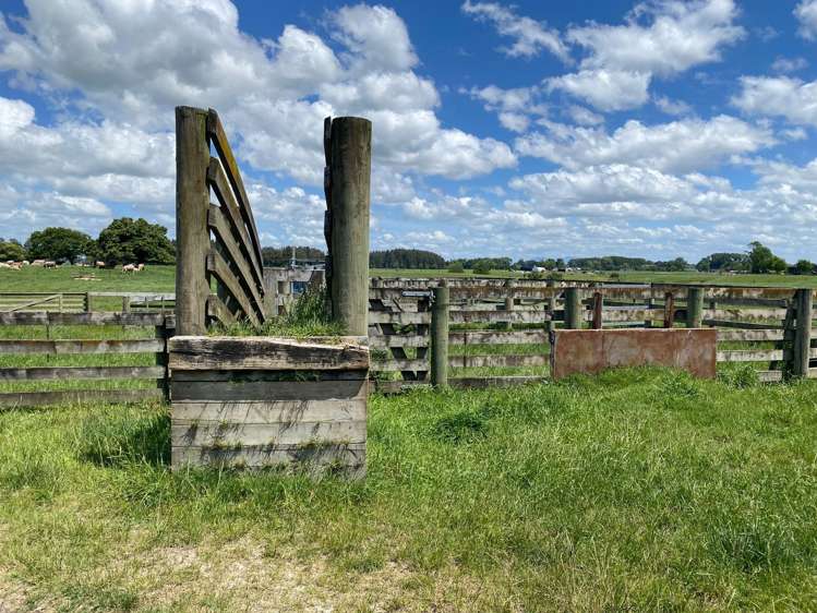 770C Gordonton Road Gordonton_21