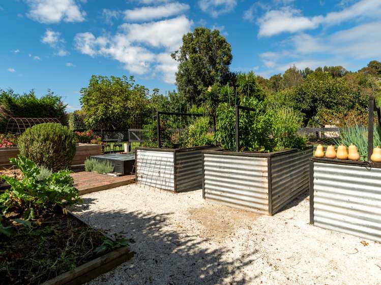 84 Plummer Road Whakamarama_24