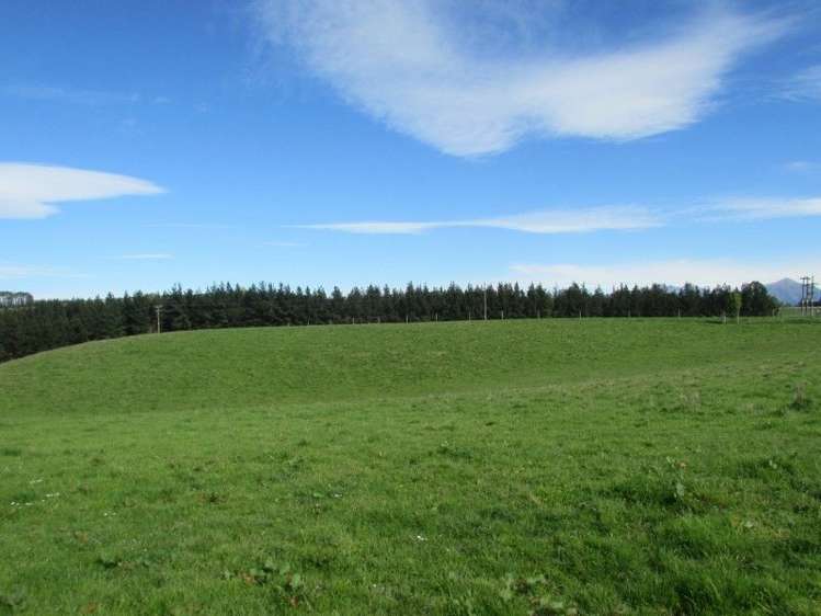 49 Downs Road Geraldine_5