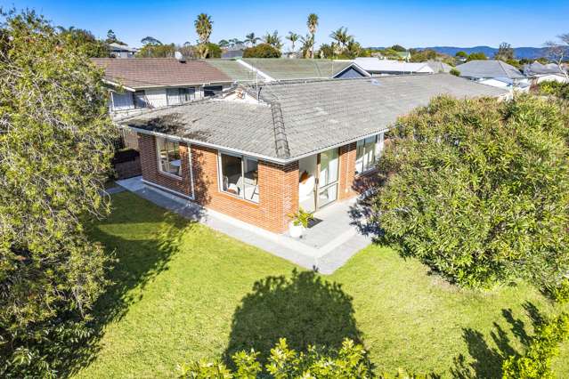 1/2 Vodanovich Road Te Atatu South_2