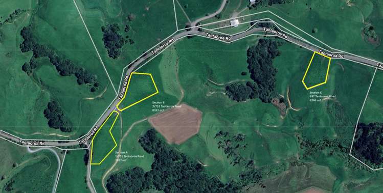 Taotaoroa Road_0