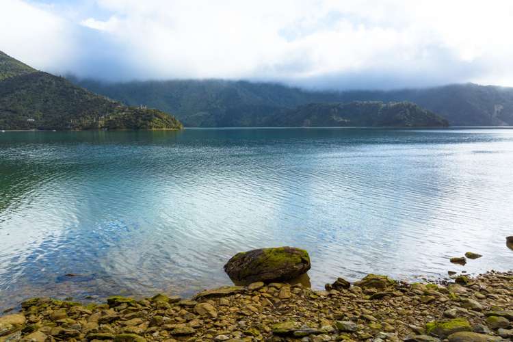 Lot 4 North West Bay Pelorus Sound_15