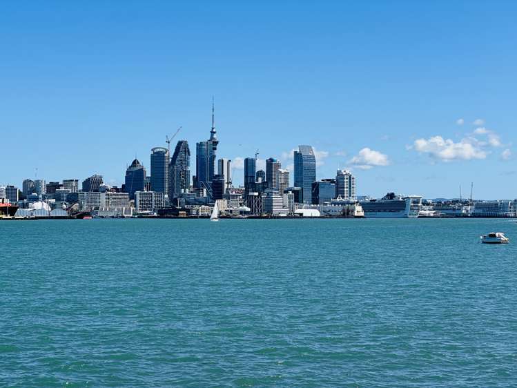 62 Calliope Road Stanley Point_6