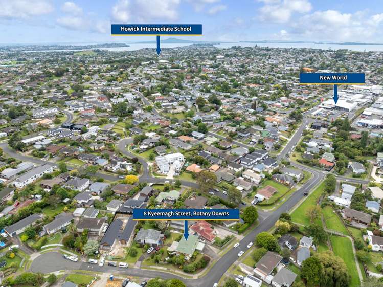 8 Kyeemagh Street Botany Downs_8