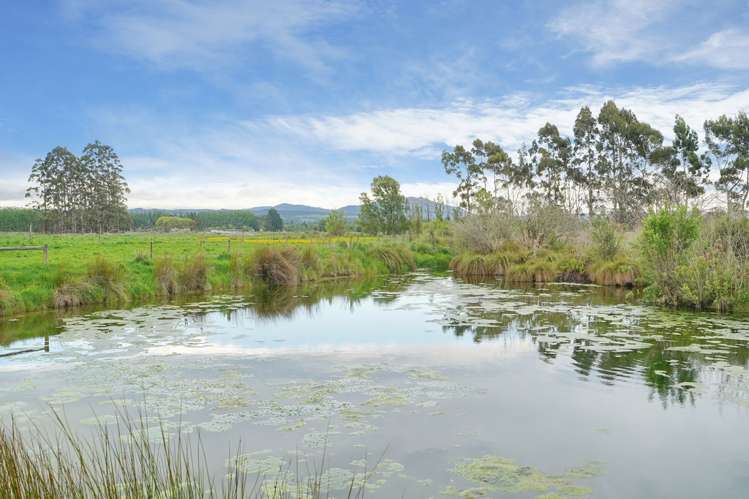 767 Lower Sefton Road Sefton_18