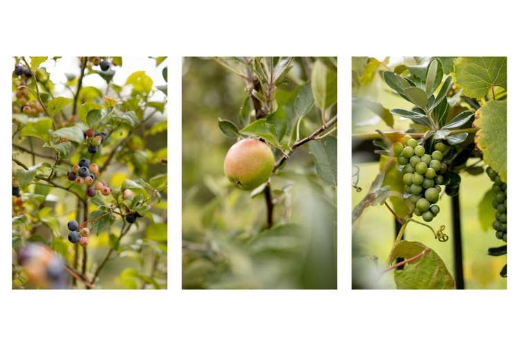 18 Moira Close Welcome Bay_21