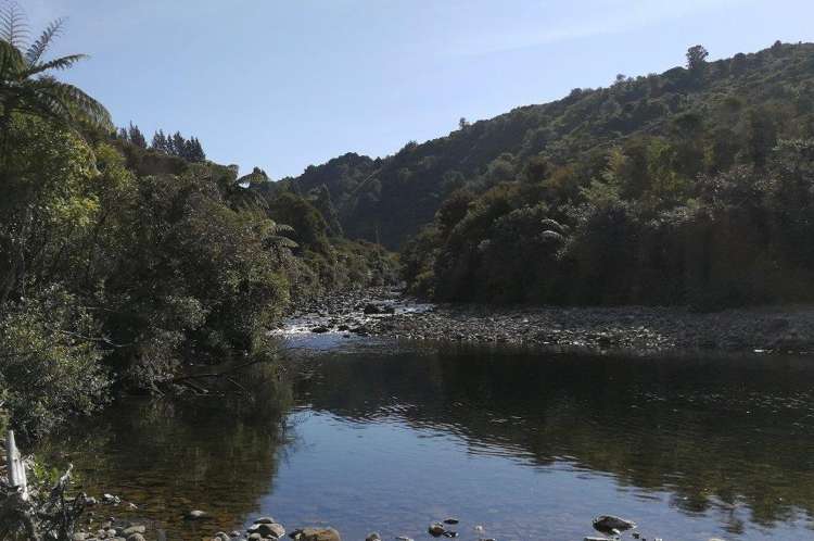 213 Parapara Valley Road Parapara_19