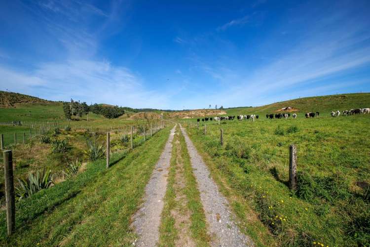 530 Soldiers Road Lower Kaimai_1