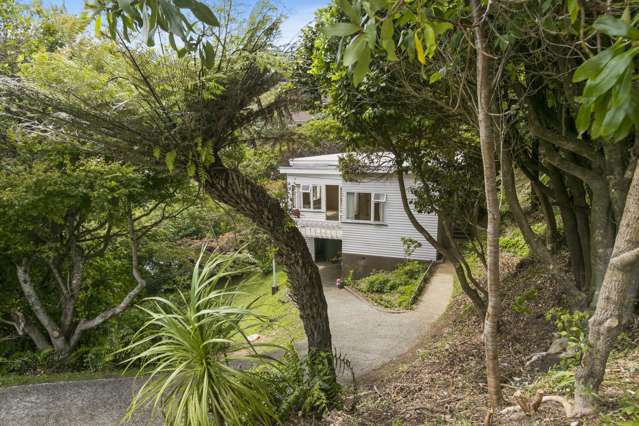 12 Lytton Street Wadestown_1