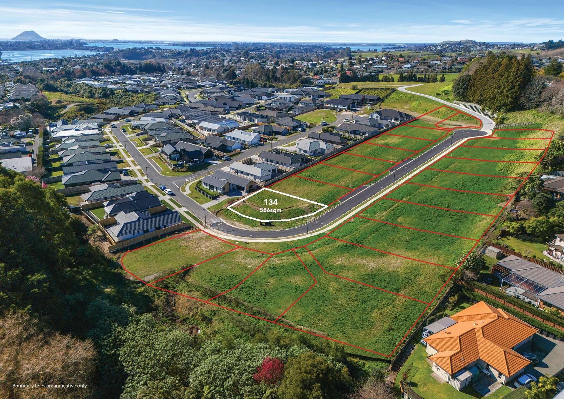 Lot 134, 95 Hass Drive, Quail Ridge Estate Ohauiti_0