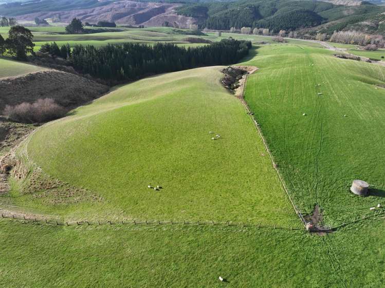 3 Conical Hill Road Gore_6