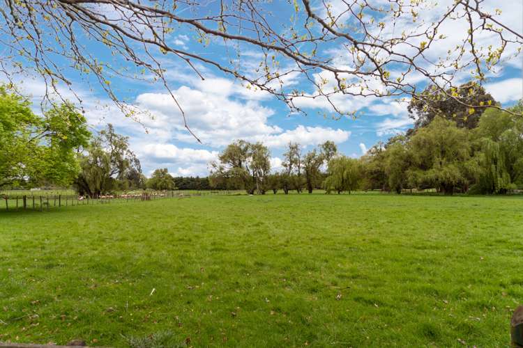 283 Manaia Road Masterton_24