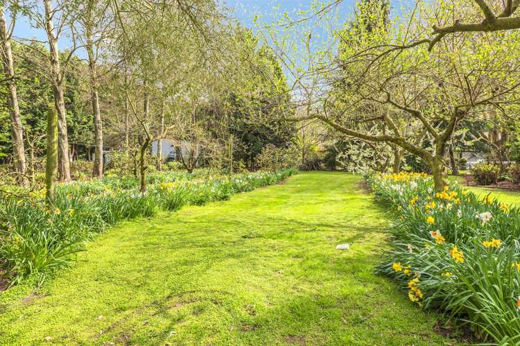 53 Prossers Road Leeston_37