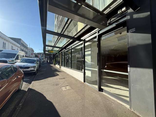 140 Vivian Street Te Aro_3