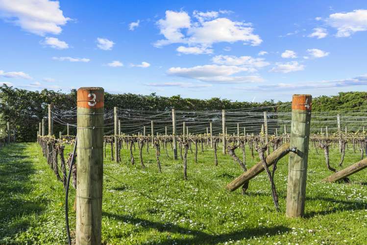 190 Regent Street Martinborough_28