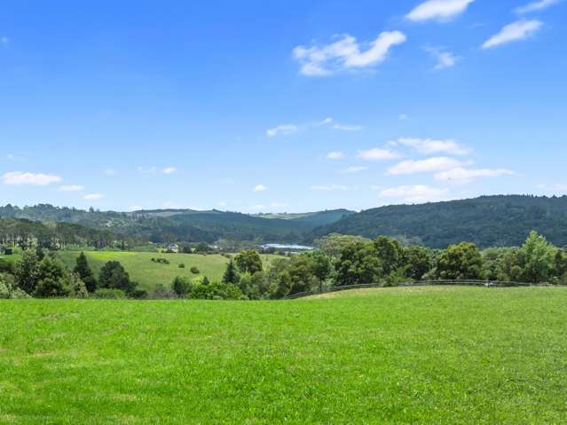 109 Okura River Road Okura_4