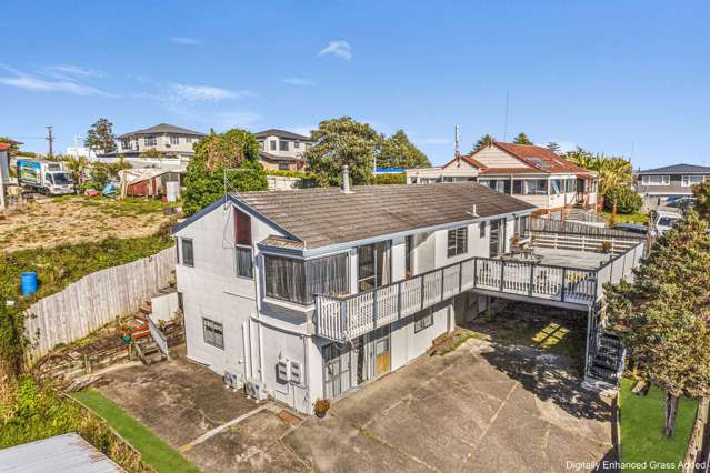 + LARGE HOUSE LARGE POTENTIAL