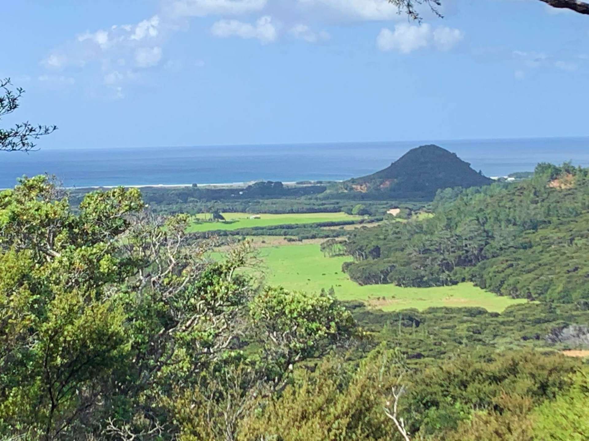 218 Blind Bay Road Great Barrier Island (Aotea Island)_0