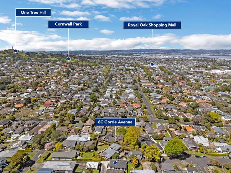 6C Gorrie Avenue Epsom_25