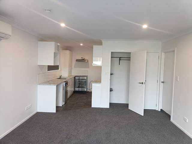 169A Boucher Avenue Te Puke_4