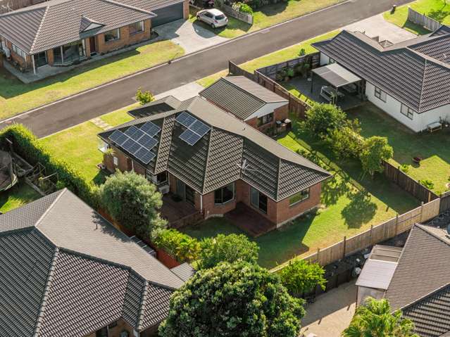 Views, Value, and Versatility in the Grove