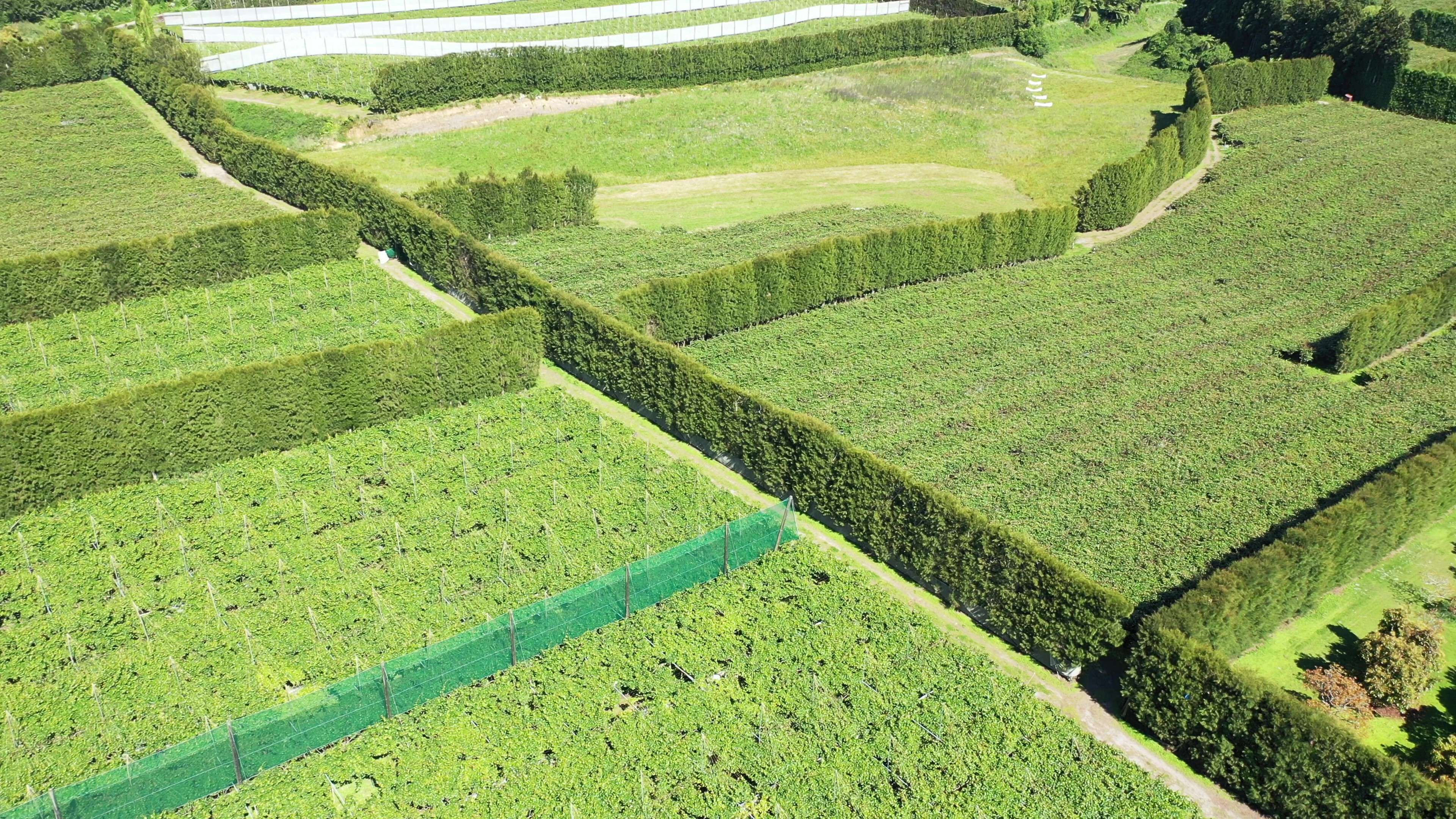 8 Jacks Lane Oropi Tauranga Rural Property For Sale One Roof