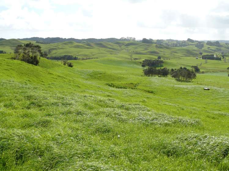 1907 Diggers Valley Road Kaitaia_5