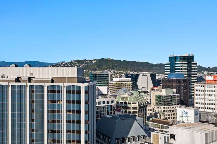 17d/12 Bolton Street Wellington Central_13