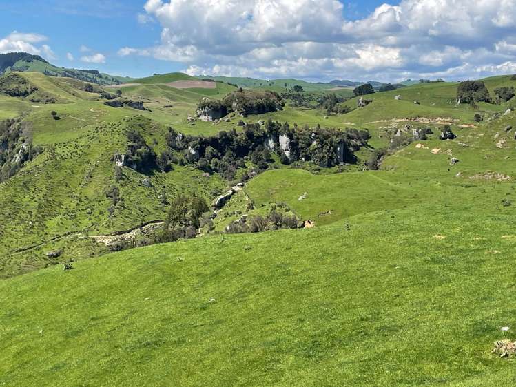 Ngaroma Road Wharepuhunga_18