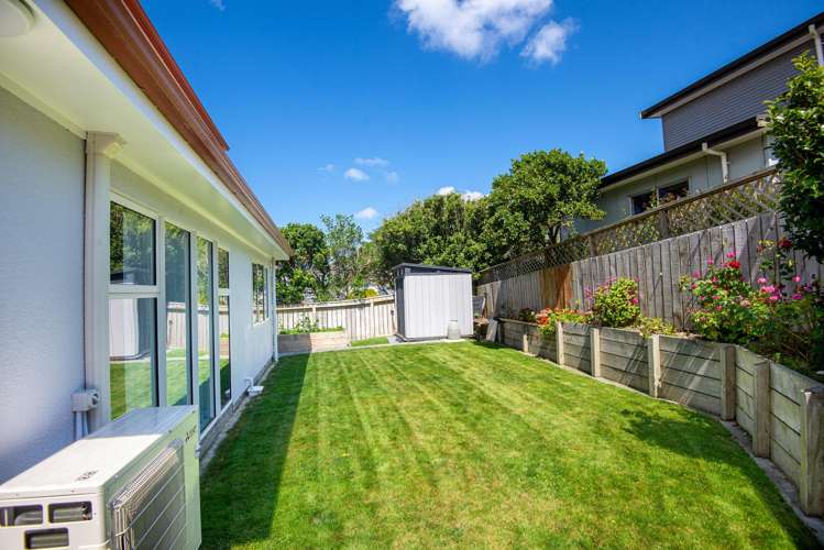 119 Cortina Avenue Johnsonville_9