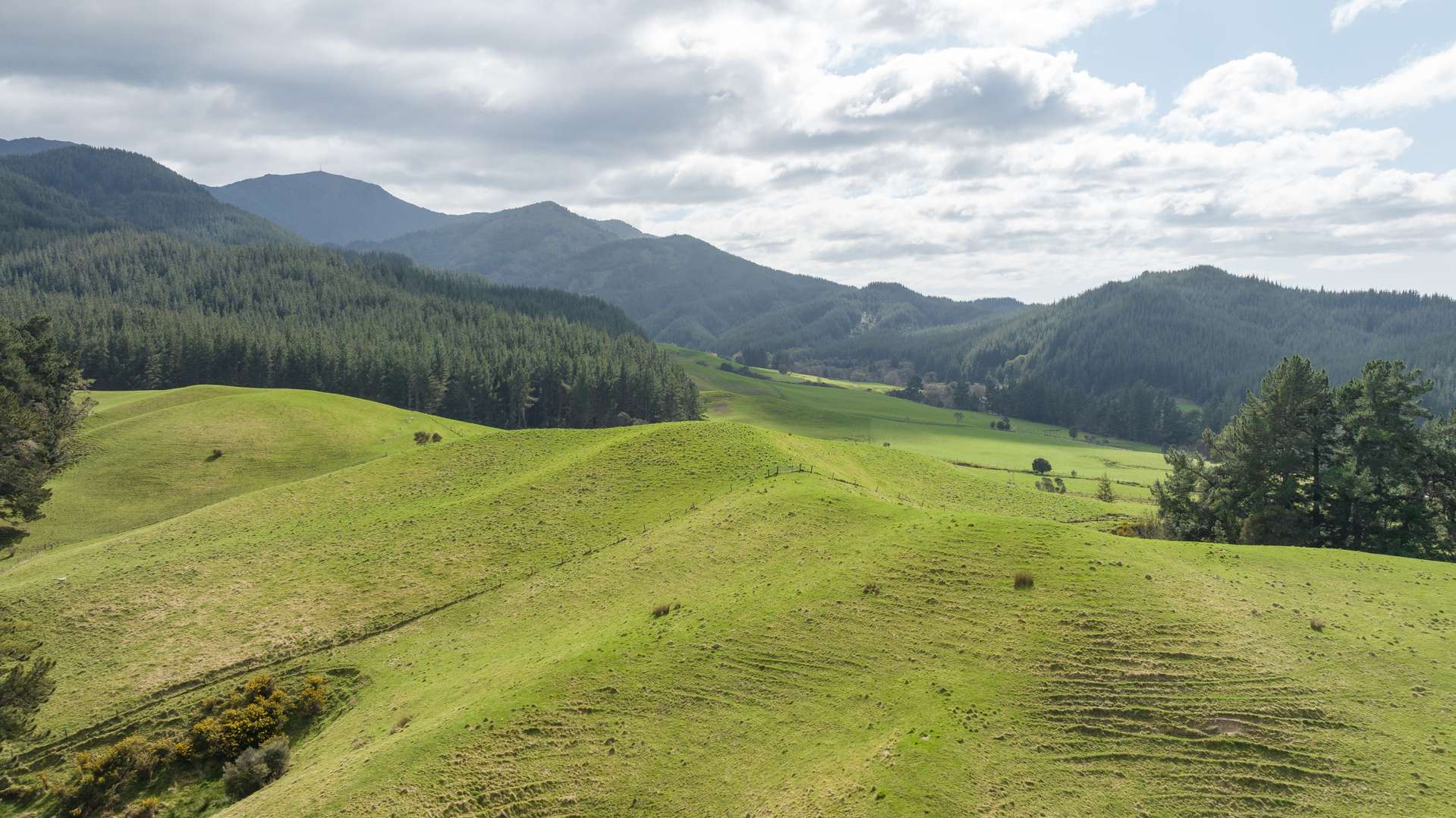 1642 Motueka Valley West Bank Road (Hilltop) Motueka Valley Tasman Rural Property For Sale
