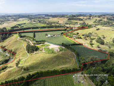 26E Wainui South Road_2