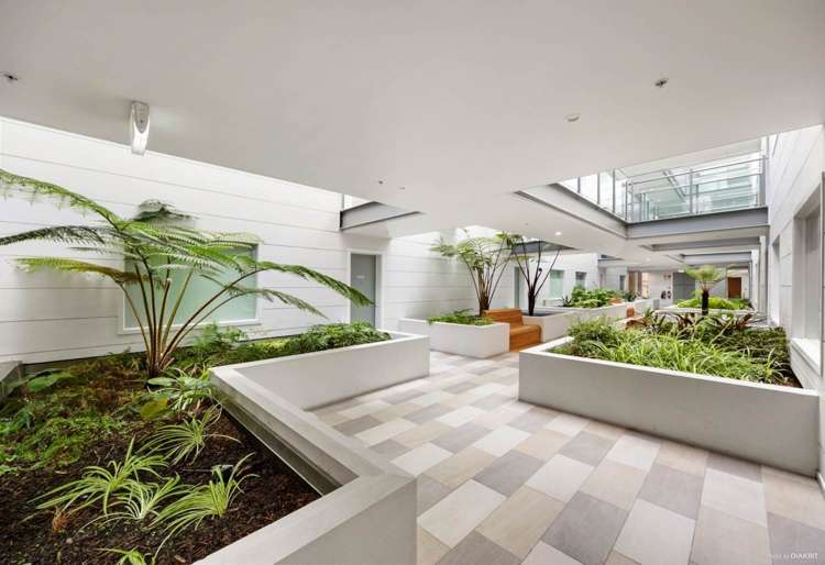12/27 Enfield Street Mt Eden_15