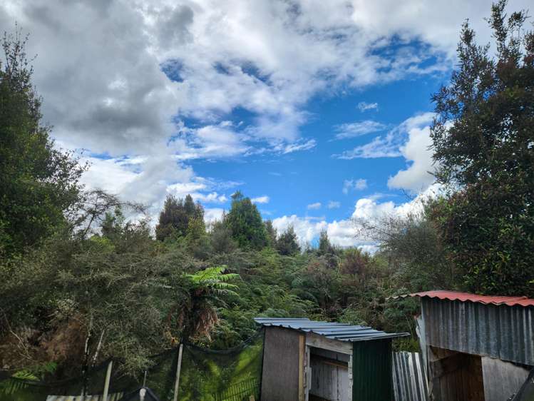 240 Maori Creek Road Marsden_11