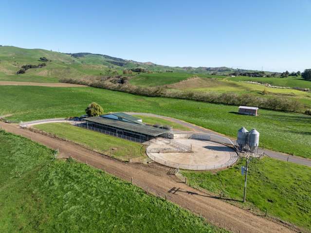 24 Waterworks Road Morrinsville_1